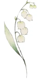 スズランの花の絵